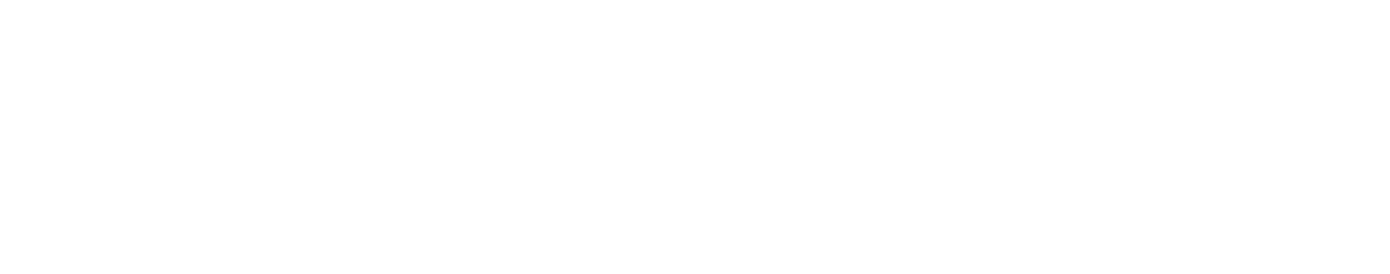 Sure Send logo